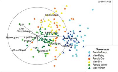 Changes in Biochemical Composition and Energy Reserves Associated With Sexual Maturation of Octopus maya